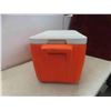 Image 4 : colmman poly-lite cooler 