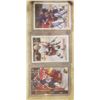 Image 3 : 13 autographed hockey cards. Keith tkachuk, 