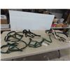 Image 1 : 4 Halters, Bridle 
