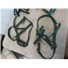 Image 2 : 4 Halters, Bridle 