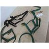 Image 3 : 4 Halters, Bridle 