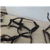 Image 4 : Halters, Leather, Nylon, Bridle 