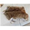 Image 4 : Tanned Hide : Fox Face, Rabbit, Unlucky Fox Tail & 