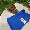 Image 1 : Blue Canadian T-shirt with Military Cap Size L