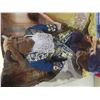 Image 2 : Beauty and the Beast and Alice Through the Looking Glass Never 