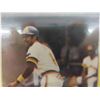 Image 2 : 1982 Fleer Ozzie smith baseball card 