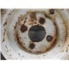 Image 2 : Trailer Tire 4 Bolt 4.80-8, Steel Cable 