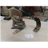 Image 1 : Horn Sculpture: Elephant, Blue Nose. 