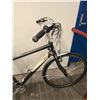 Image 3 : GREY CAFE 24 BIKE
