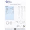 Image 6 : 0.69 ctw SI1 CLARITY F COLOR CENTER Diamond 18K White Gold Ring (1.06 ctw Diamon