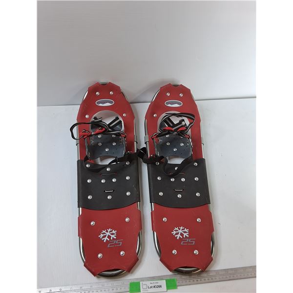 PowderRidge Snowshoes