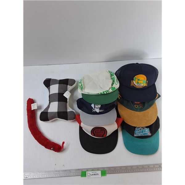 (6) Assorted Hats (2) Dog Toys