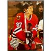 Image 1 : 1991-92 PRO SET PLATINUM JEREMY ROENICK (HOF)