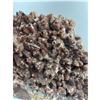 Image 6 : 10 X 8 INCH  5 KG DOG THOOT CHOCOLATE CALICTE SPECIMEN