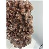 Image 7 : 10 X 8 INCH  5 KG DOG THOOT CHOCOLATE CALICTE SPECIMEN
