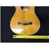 Image 20 : Greg Bennett UK70 Concert Ukulele 24"L w/ Case