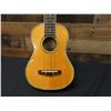 Image 7 : Greg Bennett UK70 Concert Ukulele 24"L w/ Case