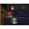 Image 16 : Samick Left Handed Recurve Bow w/ Sight, Quiver, Arrows, Arm Guard & Cavalier Tab