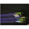 Image 13 : Right Handed Recurve Bow w/ Arrows