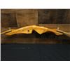 Image 4 : Right Handed Recurve Bow w/ Arrows