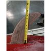 Image 35 : Surftech Signature Mickey Munoz TufLite Surfboard 12'L x 25.5"W x 4"H