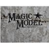 Image 6 : Walden Performance 'Magic Model' Surfboard by Steve Walden 9'6" x 23.25" x 3"H