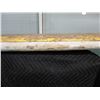 Image 29 : Walden Performance Surfboards Magic Model Boardworks Surfboard 10'6"L x 23.5" x 3.5"H