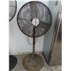 Image 1 : Lakewood Pedestal Fan