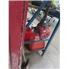 Image 2 : Troy Bilt Gas Trimmer w/Spare Trimmer Head