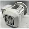 Image 3 : Sew-Eurodrive #DRS71S4/FF Gear Motor Hz 60 r/min1700