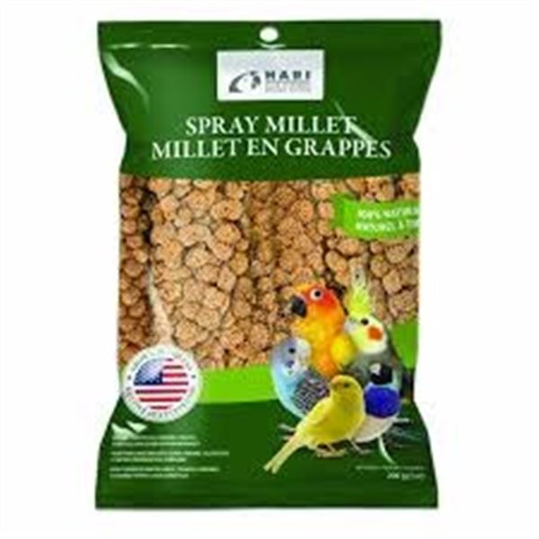 NEW 500G HARI SPRAY MILLET