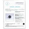 Image 4 : 0.65 ctw Diamond and 1.11 ctw Blue Sapphire Platinum Ring (0.99 ctw Diamonds)
