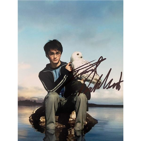 Harry Potter Daniel Radcliffe signed photo