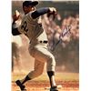 Image 1 : Sandy Koufax signed photo