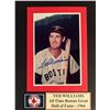 Image 1 : Ted Williams signed photo