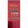 Image 1 : 11 COLLECTABLE SPOONS