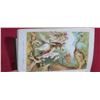 Image 12 : THE STORY OF AUDUBON - 1897