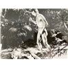 Image 1 : Tarzan Bruce Bennett signed photo