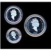 Image 2 : CANADA - Platinum Set 1/10 1/4 1/2 1 ounce 2000