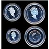 Image 2 : CANADA - Set of 4 platinum coins 0.95 oz