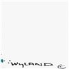 Image 2 : Shark by Wyland Original