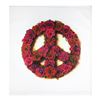 Image 1 : Peace by Steve Kaufman (1960-2010)