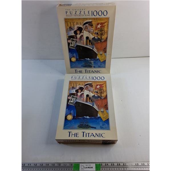 (2) 1000 pc The Titanic Puzzles
