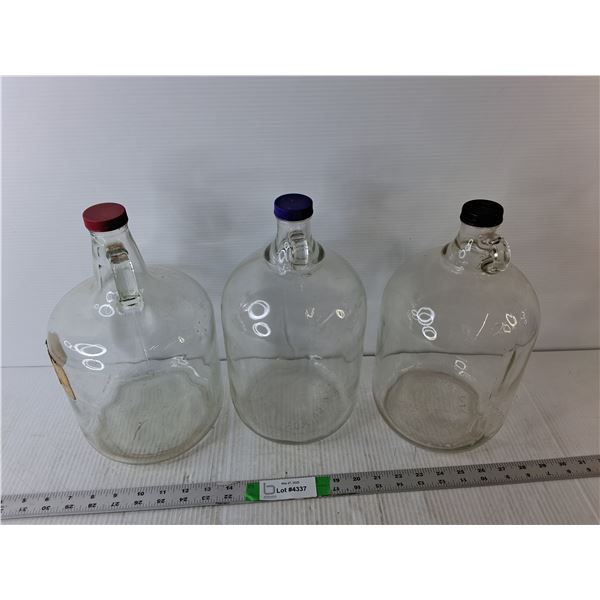 (3) Glass Jugs Up to 12" Tall, Cannot Ship