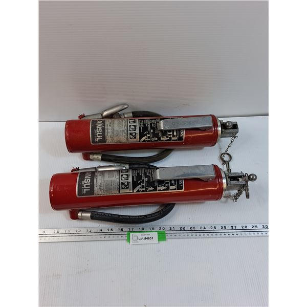 (2) Fire Extinguishers - Untested, As Is - CANNOT SHIP