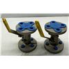 Image 2 : (2) Conbraco Ind. #8710301 Flanged Ball Valves