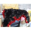 Image 3 : SEIZURE (AS IS):  BLACK BEAR RUG (APPROX. 6' LONG; DECENT CONDITION)