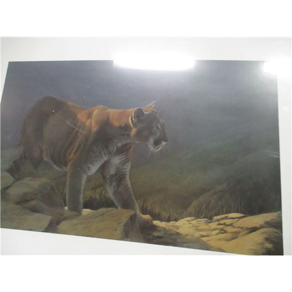 COLLECTABLE:  DUCKS UNLIMITED "COUGAR RIDGE" BY SHELLY BARKMAN (1808/3000)