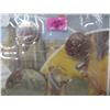 Image 3 : 1984 PROOF CANADA MINT SEALED COIN SET