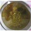 Image 2 : 1867 CANADA MAPLE LEAF PROOF LIKE COIN